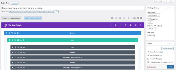 screenshot of the divi back end editor example