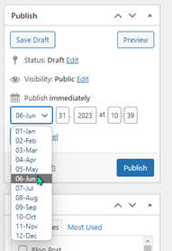 Select a future date to publish post