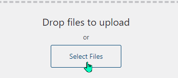 Screenshot of selecting files to upload to media library