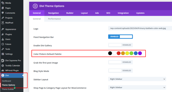 screenshot of wordpress dashboard with divi theme options menu open displaying the color pickers default palette