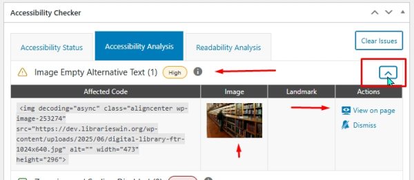 Screenshot of an accessibility checker interface highlighting an issue with empty alternative text.