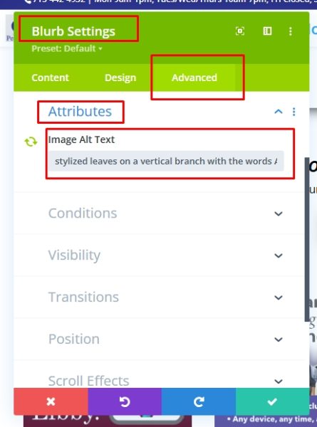 screenshot of divi blurb module settings with the advanced tab selected and "attributes" dropdown open. Alt text has been entered in the Image Alt Text field.